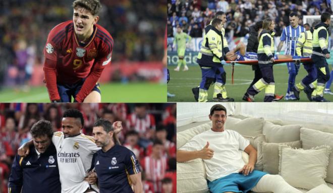 许多专家赞 许多专家赞